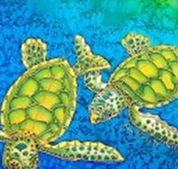 Sea Silks Gallery - Accommodation NT