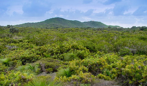 Arakwal National Park - Accommodation NT 1