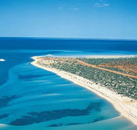 Monkey Mia - Accommodation NT