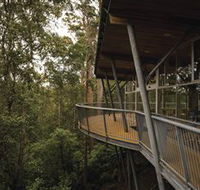 Tarkine Forest Adventures - Dismal Swamp - Accommodation NT