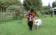Djanbung Permaculture Gardens - thumb 7