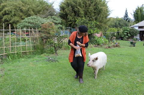 Djanbung Permaculture Gardens - Accommodation NT 7