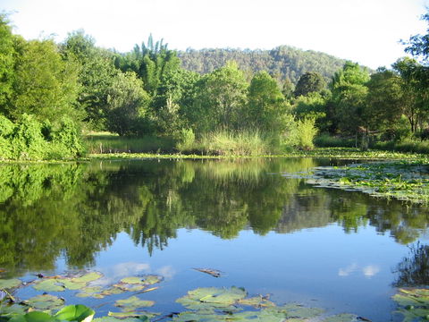 Djanbung Permaculture Gardens - Accommodation NT 10