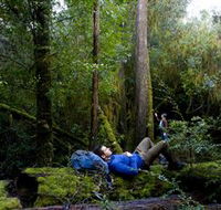 The Tarkine Drive - Accommodation NT