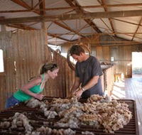 Peron Homestead - Accommodation NT