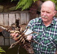 Lobster Ponds - Accommodation NT