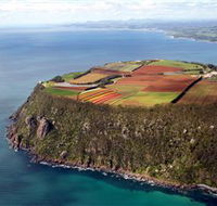 Table Cape - Accommodation NT
