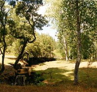 Oldina Picnic Area - Accommodation NT