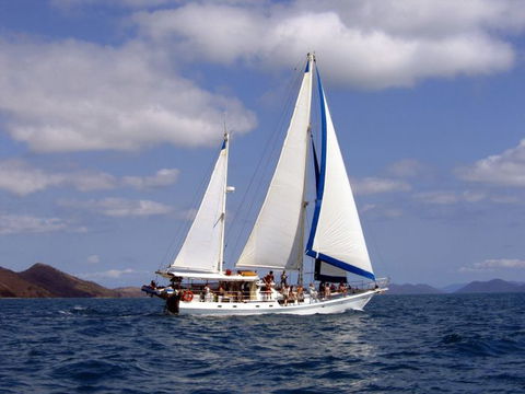Adventure, Cruise, Dive And Outer Reef - Whitsundays Sailing Adventures - Accommodation NT 6