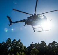 Tall Timbers Adventure Tours - Accommodation NT