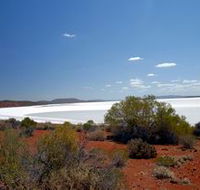 Gawler Ranges Wilderness Safaris - Accommodation NT