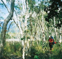 Thorsborne Trail Hinchinbrook Island National Park - Accommodation NT