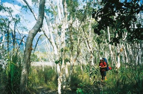 Thorsborne Trail, Hinchinbrook Island National Park - Accommodation NT 0