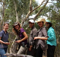 Echidna Walkabout Nature Tours - Accommodation NT