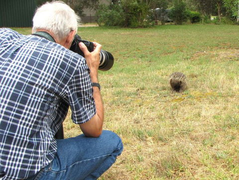 Echidna Walkabout Nature Tours - Accommodation NT 7