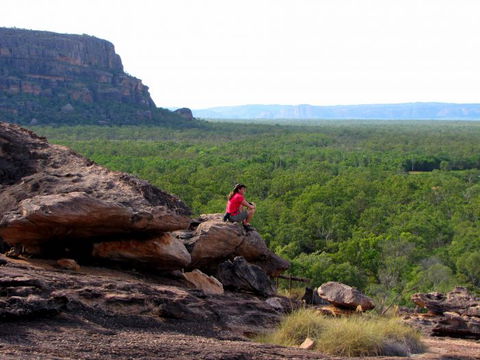 Echidna Walkabout Nature Tours - Accommodation NT 21