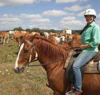 Myella Farm Stay Tours - Accommodation NT