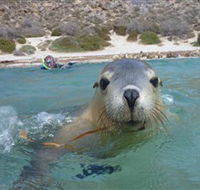 Calypso Star Charters - Accommodation NT