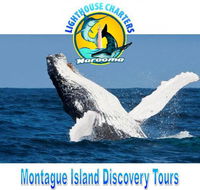 Lighthouse Charters Narooma - NT Tourism