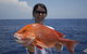 Absolute Ocean Charters - thumb 5