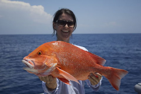 Absolute Ocean Charters - Accommodation NT 6