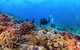 Sunreef Mooloolaba - thumb 6