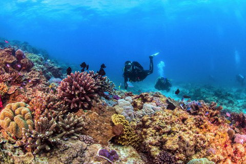 Sunreef Mooloolaba - Accommodation NT 6