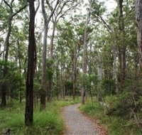 Caboolture Regional Environment Education Centre - Walking Trails - Accommodation NT