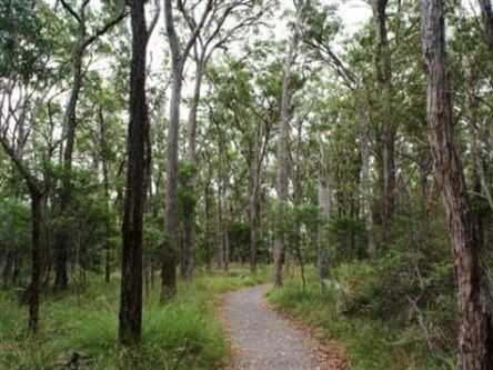 Caboolture Regional Environment Education Centre - Walking Trails - Accommodation NT 0