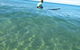 Great Ocean Road Surf Tours - thumb 7