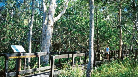 Kinaba Track - NT Tourism 0