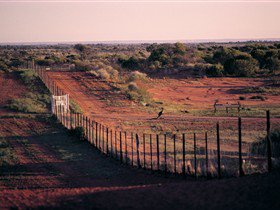 Tri State Safaris - Accommodation NT 4