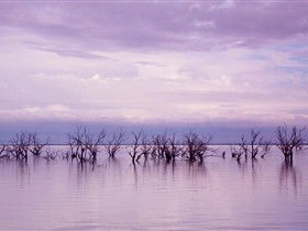 Tri State Safaris - Accommodation NT 8