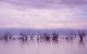 Tri State Safaris - thumb 9