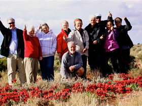 Tri State Safaris - Accommodation NT 15