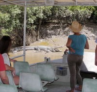 Whitsunday Crocodile Safari - Accommodation NT