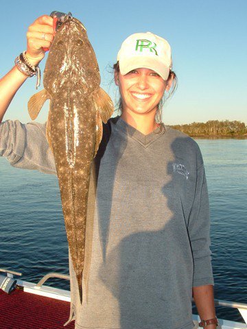Reel Time Charters Yamba - Accommodation NT 2