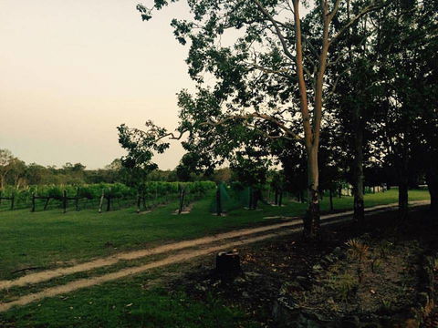 Brierley Wines - Accommodation NT 0
