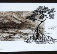 Douglas Arts Inc - Accommodation NT