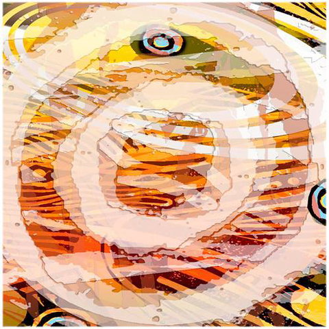 Kingstudio Art & Design Gallery - Accommodation NT 3