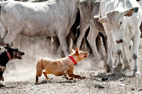 David Hancock Photography - Accommodation NT 2