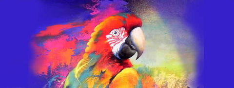 Tina Cooper Gallery - Accommodation NT 2
