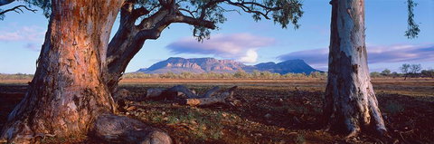 Nissarana Galleries Noosa - Accommodation NT 1