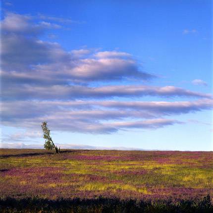 Nissarana Galleries Noosa - Accommodation NT 2