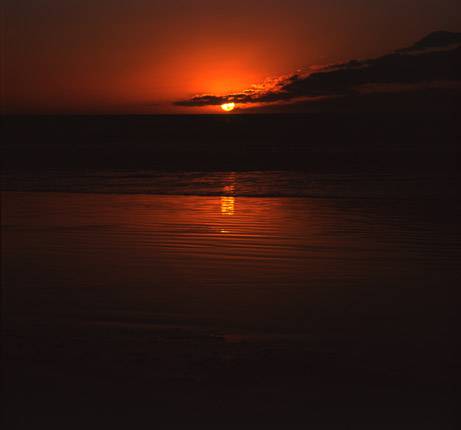 Nissarana Galleries Noosa - Accommodation NT 3