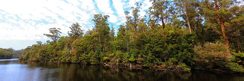 A R Reflections River Cruises - Accommodation NT 0