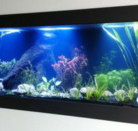 Aquariums in Cairns - Accommodation NT