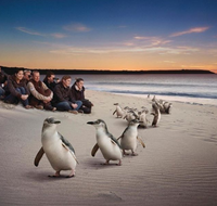 Down Under Thrills - Accommodation NT