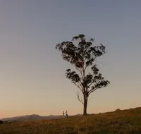 Faulls Ridge Winery - Accommodation NT