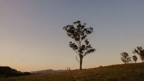 Faulls Ridge Winery - Accommodation NT 0